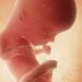 13 semanas de gravidez