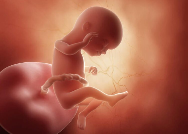 Gravidez 16 semanas