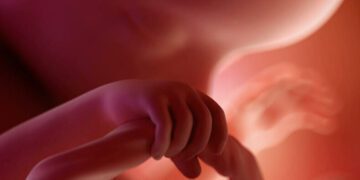 Gravidez 17 semanas