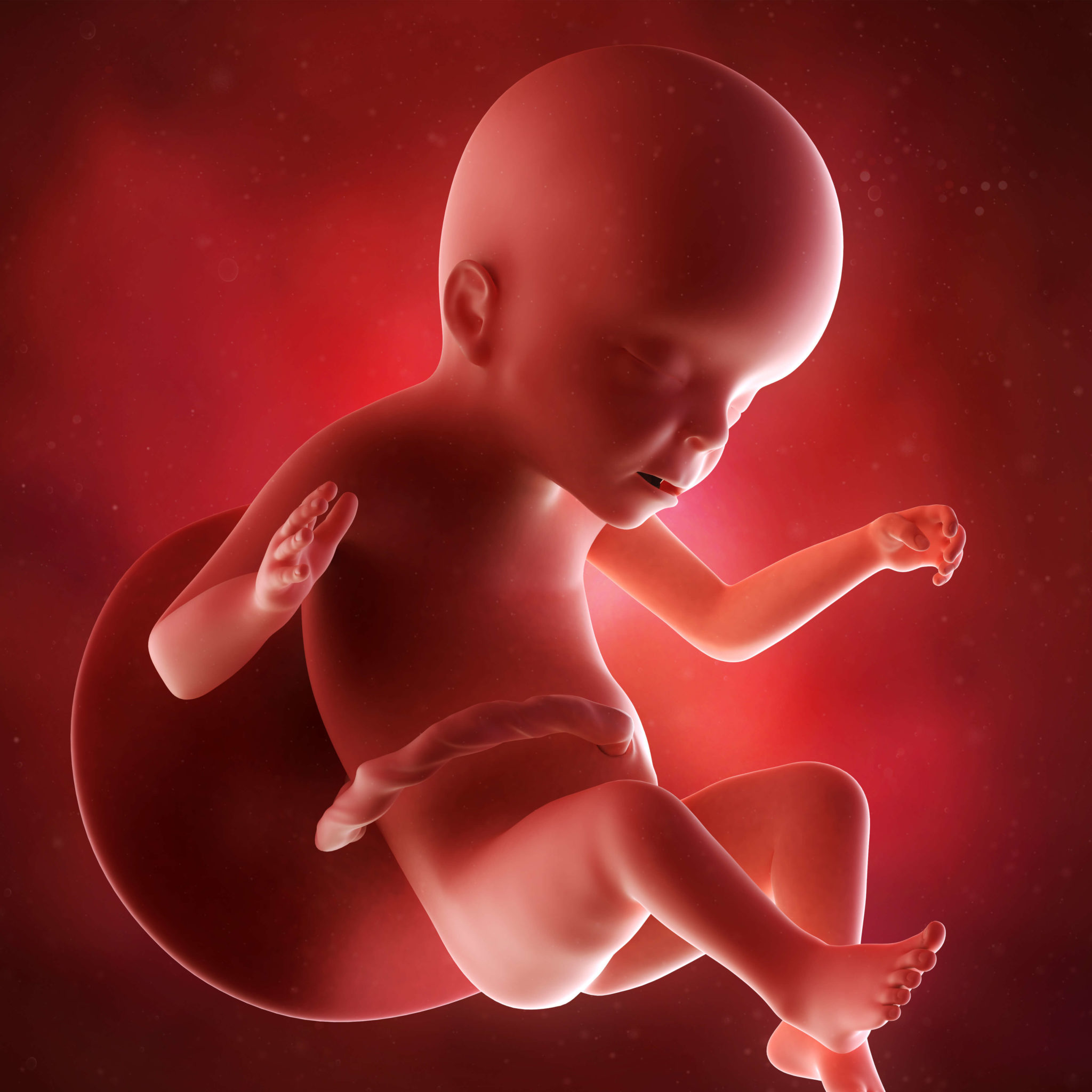 23 semanas de gravidez: o desenvolvimento do bebê