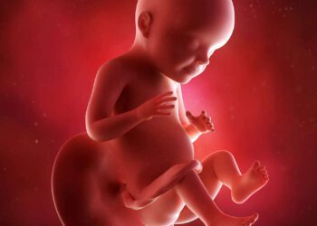 A gravidez e o desenvolvimento do bebê de 28 semanas