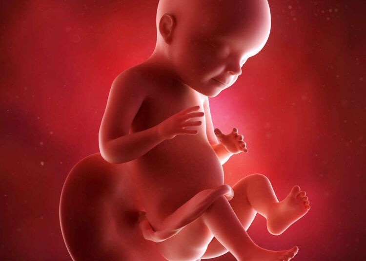 A gravidez e o desenvolvimento do bebê de 28 semanas