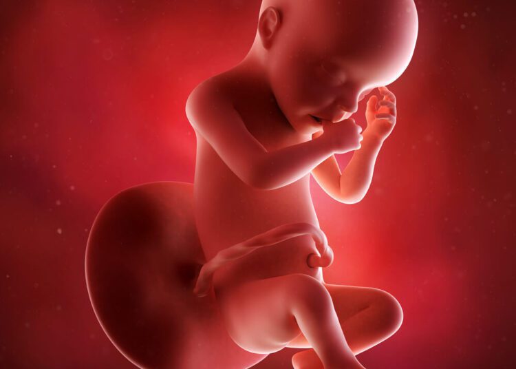 Gravidez 30 semanas