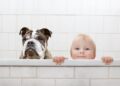 Relação do pet com a criança
