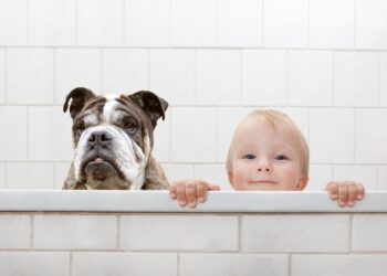 Relação do pet com a criança