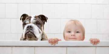 Relação do pet com a criança