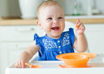 Com quantos meses introduzir a papinha de bebê e outros alimentos