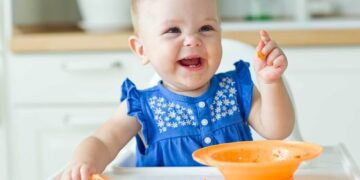 Com quantos meses introduzir a papinha de bebê e outros alimentos
