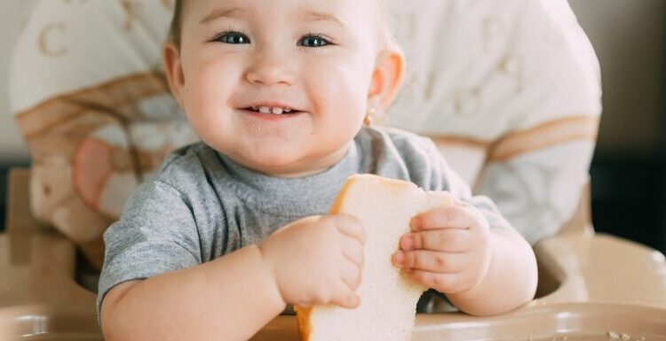 Como escolher a cadeira de alimentação do bebê?