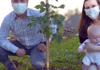 Projeto planta uma árvore para cada bebê nascido