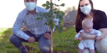 Projeto planta uma árvore para cada bebê nascido