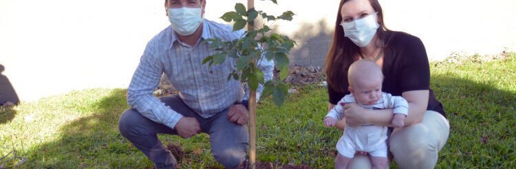 Projeto planta uma árvore para cada bebê nascido