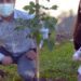 Projeto planta uma árvore para cada bebê nascido