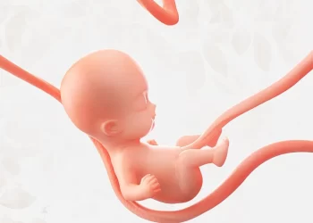 Cordão Umbilical: Guia Completo para Pais