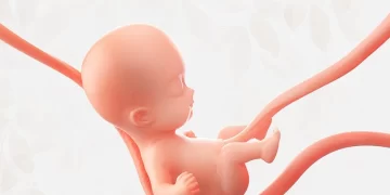 Cordão Umbilical: Guia Completo para Pais