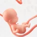 Cordão Umbilical: Guia Completo para Pais